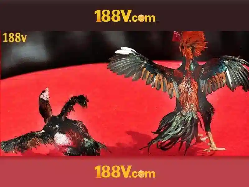 💎1668 slot💎 💎1668 slot💎