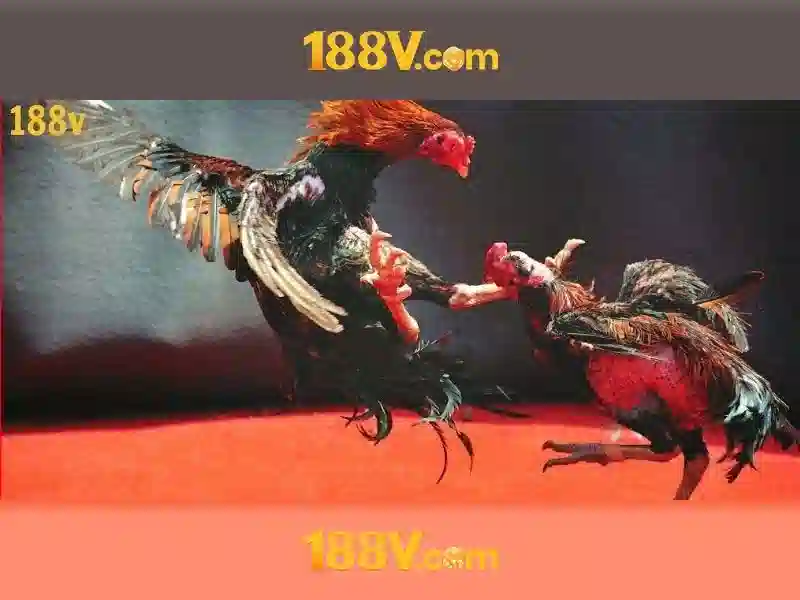 💎depo 25 bonus 25 slot💎 💎depo 25 bonus 25 slot💎