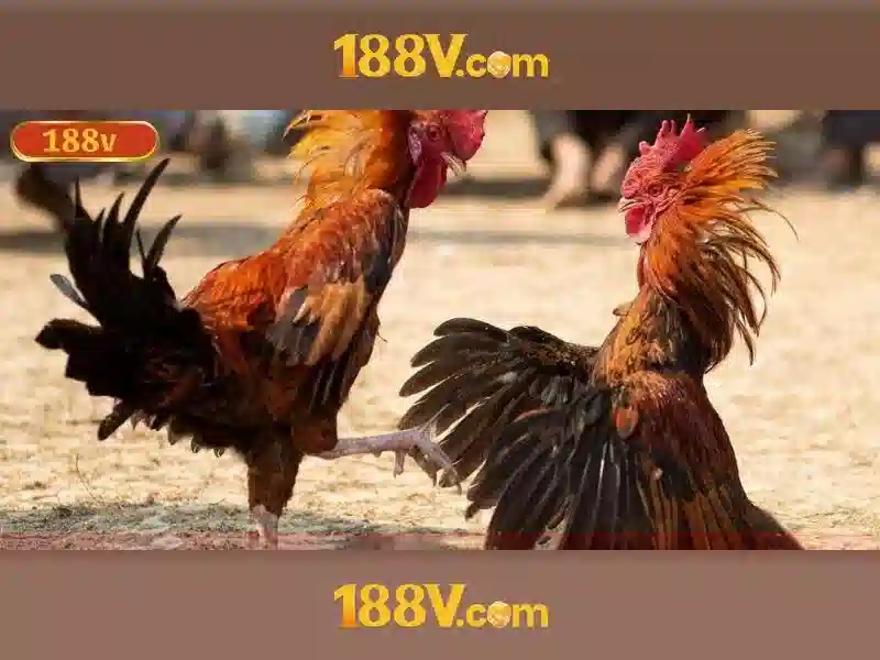 💎nhà cái uy tín138.com💎 💎nhà cái uy tín138.com💎