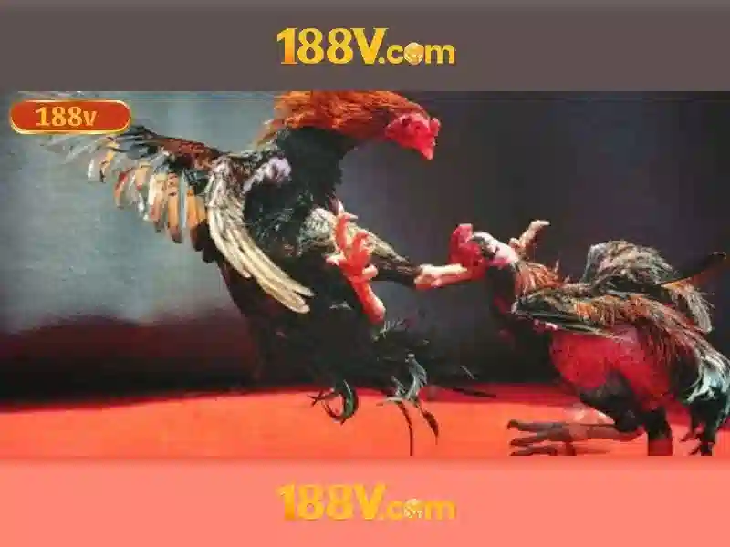 💎hb88 games casino💎 💎hb88 games casino💎