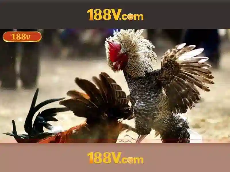 💎slot fortune gems - 888 slot games💎 💎slot fortune gems - 888 slot games💎