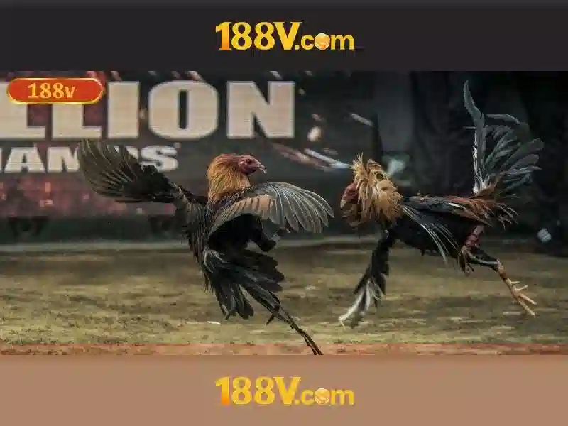 💎wideo slots online💎 💎wideo slots online💎