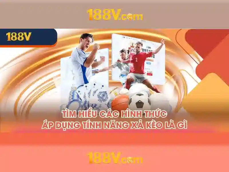 💎iata slot conference💎 💎iata slot conference💎