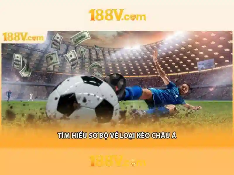 💎cuộc sống trong rừng tây bắc thật thú vị💎 💎cuộc sống trong rừng tây bắc thật thú vị💎