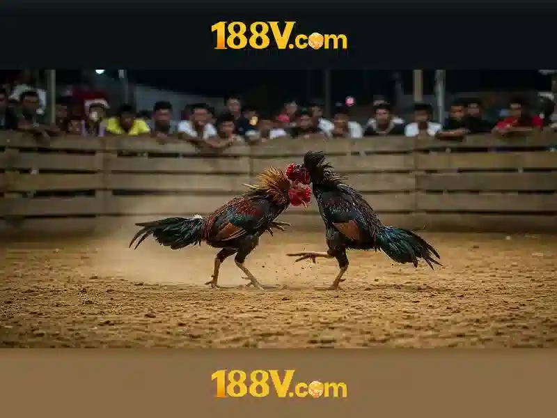 💎nha cai khuyen mai💎 💎nha cai khuyen mai💎