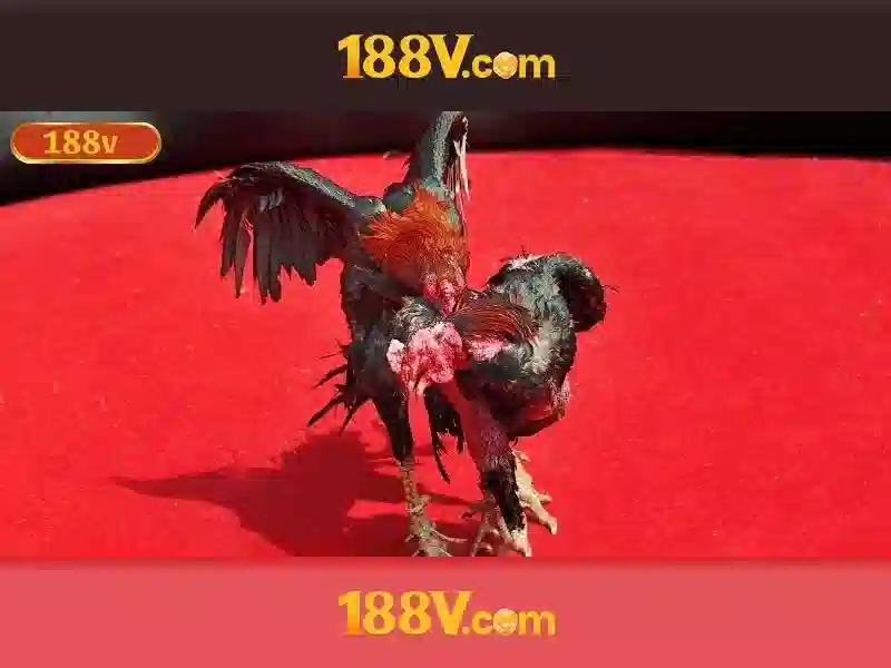 💎sweepstakes slots online💎 💎sweepstakes slots online💎