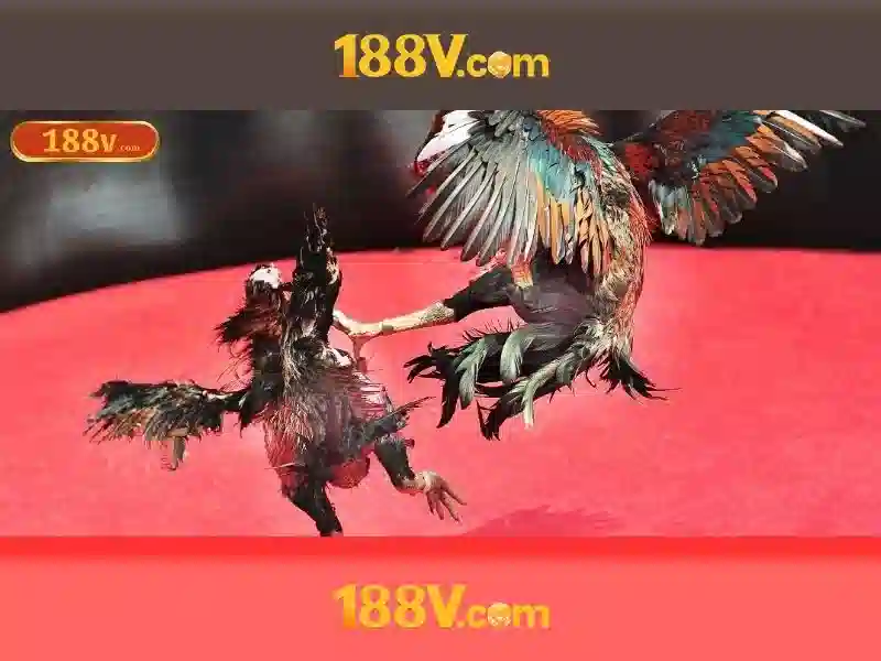 💎xem kèo nhà cái 88💎 💎xem kèo nhà cái 88💎