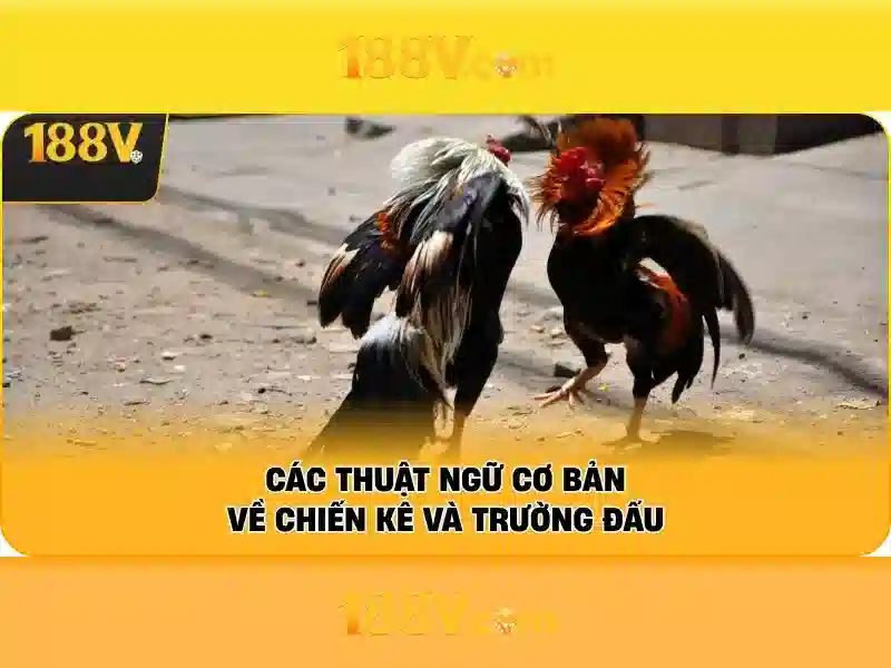 💎đánh bạc trái phép nghị định 167💎 💎đánh bạc trái phép nghị định 167💎