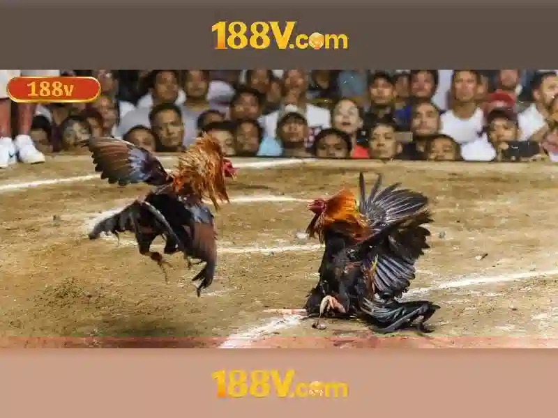 💎bonus hunter xn88💎 💎bonus hunter xn88💎