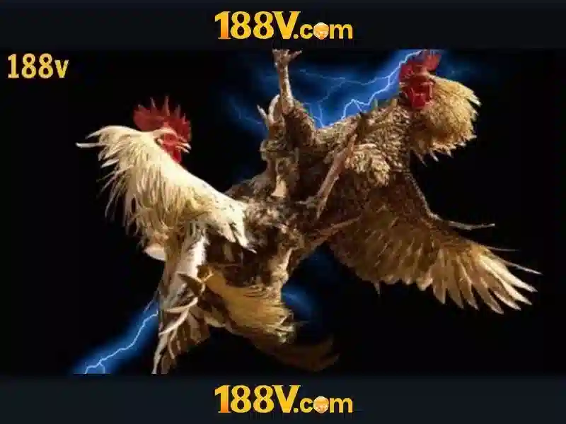 💎lucky slots 7 betting💎 💎lucky slots 7 betting💎