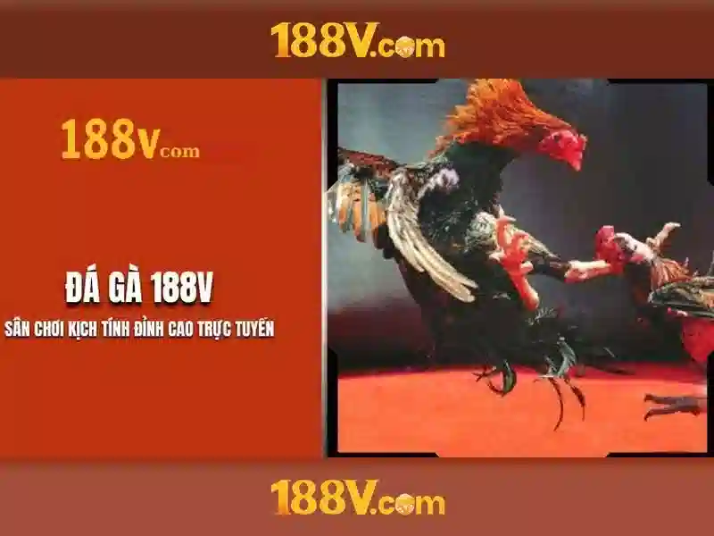 💎tỷ lệ cá cược bóng đá nữ thế giới💎 💎tỷ lệ cá cược bóng đá nữ thế giới💎