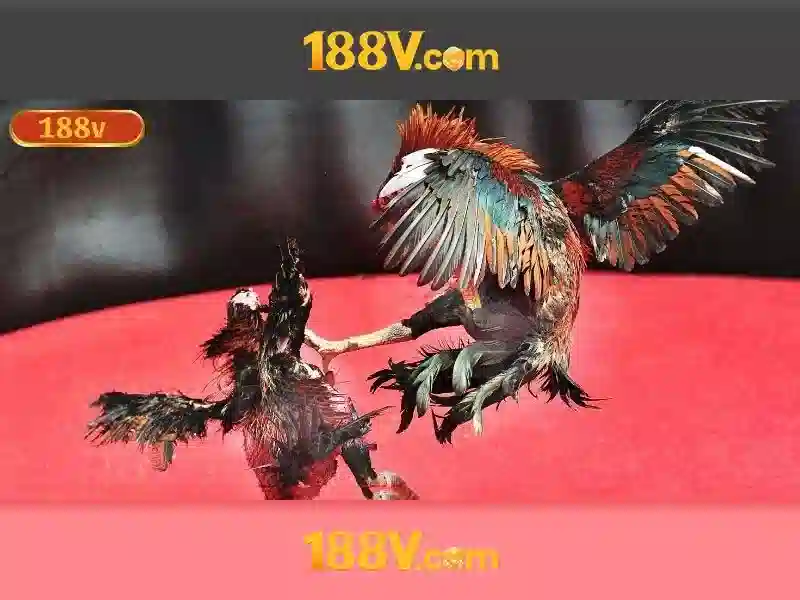 💎the crown slot💎 💎the crown slot💎