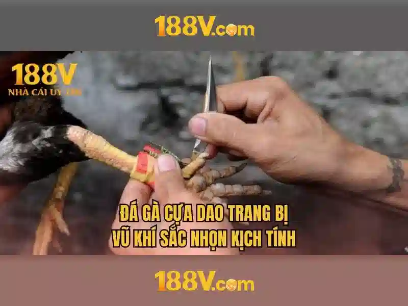 💎vua nhà cái châu mỹ💎 💎vua nhà cái châu mỹ💎