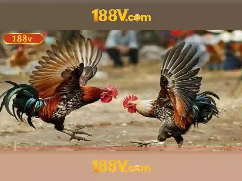 💎999 xn88 casino login💎 💎999 xn88 casino login💎