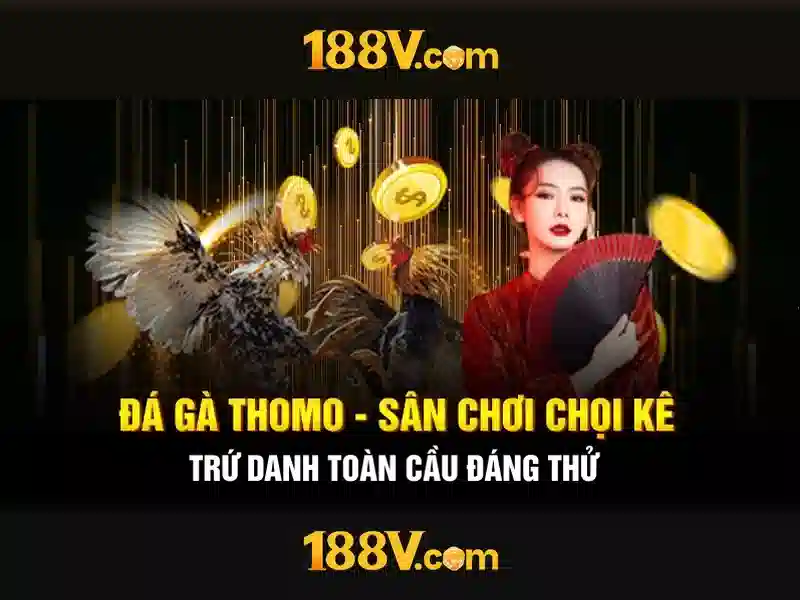💎cá cược cá cược xin88💎 💎cá cược cá cược xin88💎