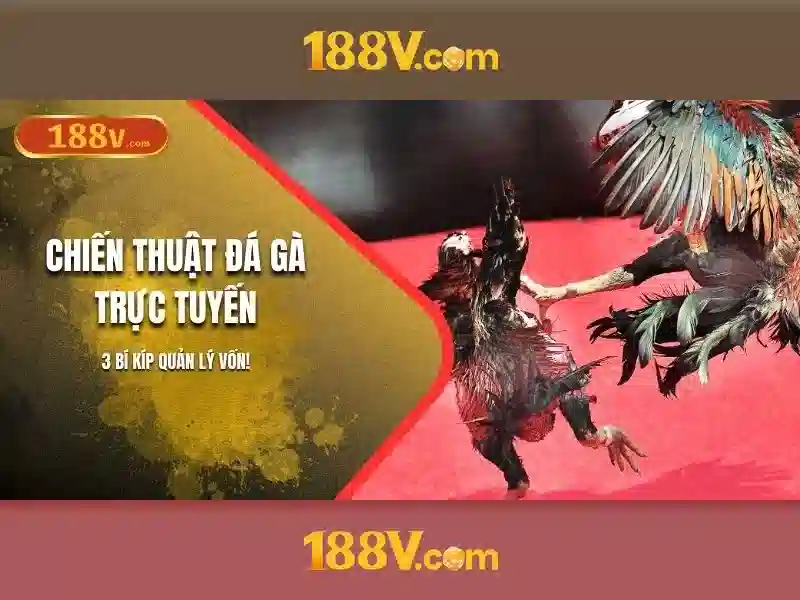 💎trang nhà cái esport mới💎 💎trang nhà cái esport mới💎