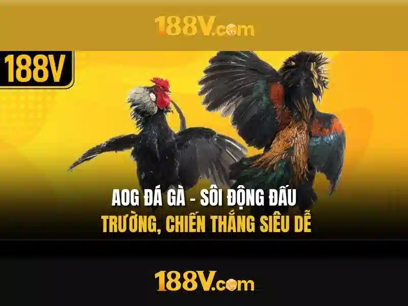 💎casinoland casino slots💎 💎casinoland casino slots💎