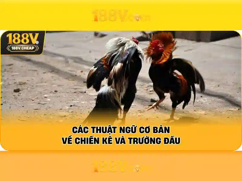 💎nha cai uy tin 24💎 💎nha cai uy tin 24💎