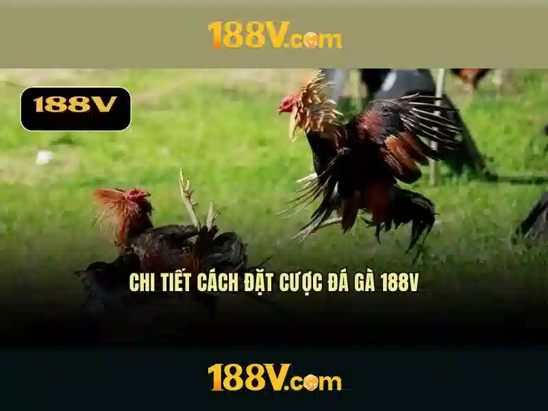 💎games casino xn88 lengbear poker slots💎 💎games casino xn88 lengbear poker slots💎