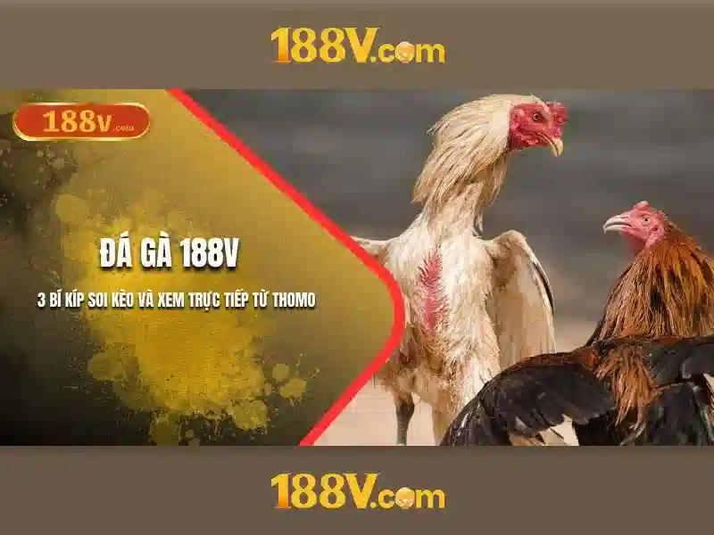 💎julemarked på rosenholm slot💎 💎julemarked på rosenholm slot💎