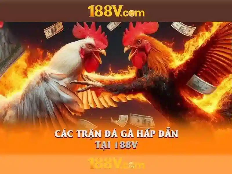 💎top12 trang cá cược bóng đá💎 💎top12 trang cá cược bóng đá💎