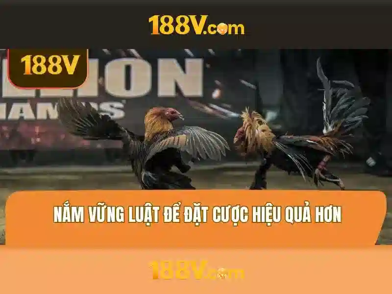 💎cảm ơn mẹ đã hy sinh cả cuộc đời💎 💎cảm ơn mẹ đã hy sinh cả cuộc đời💎