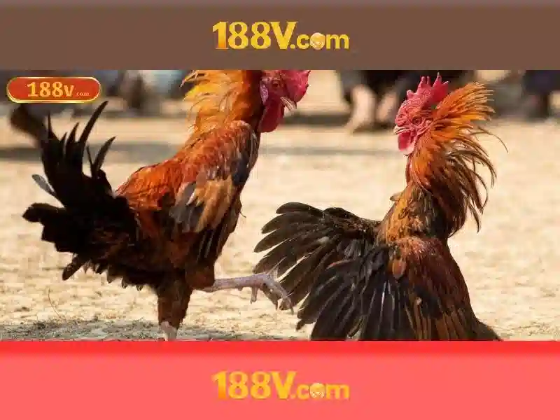 💎best88💎 💎best88💎