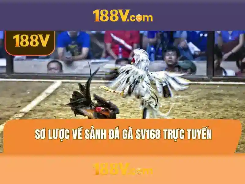 💎888 slot 646 777💎 💎888 slot 646 777💎