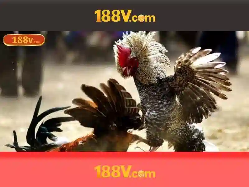 💎song bac cua the gioi💎 💎song bac cua the gioi💎