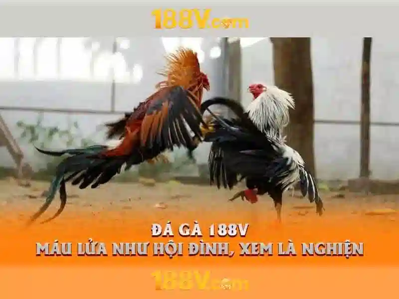 💎akafuji slots💎 💎akafuji slots💎