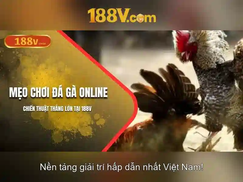 💎xem kèo cá cược nhà cái💎 💎xem kèo cá cược nhà cái💎