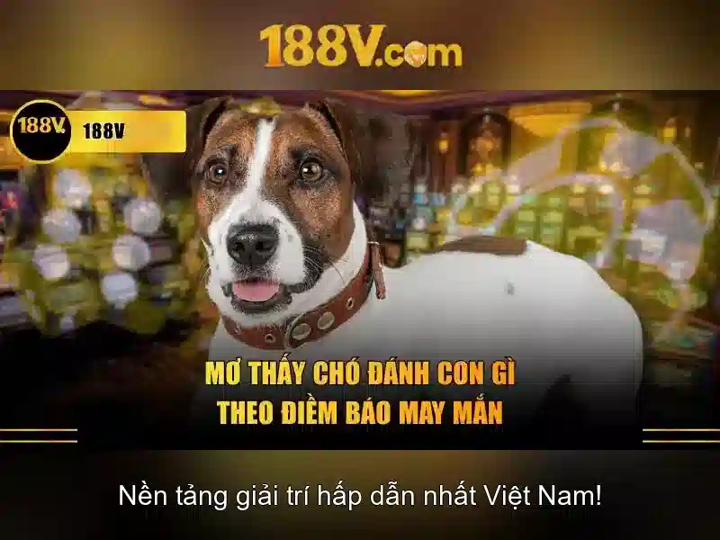 💎no more available pci slots💎 💎no more available pci slots💎