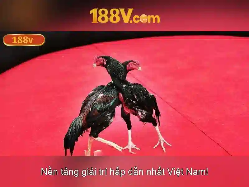 💎slot games at megaways casino💎 💎slot games at megaways casino💎