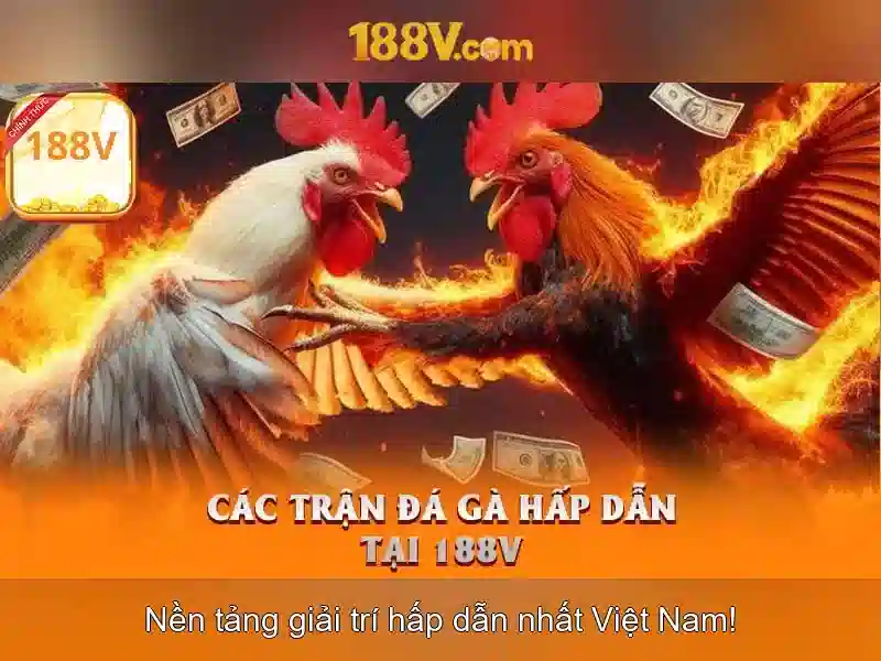 💎tructiepbongda keo nha cai💎 💎tructiepbongda keo nha cai💎