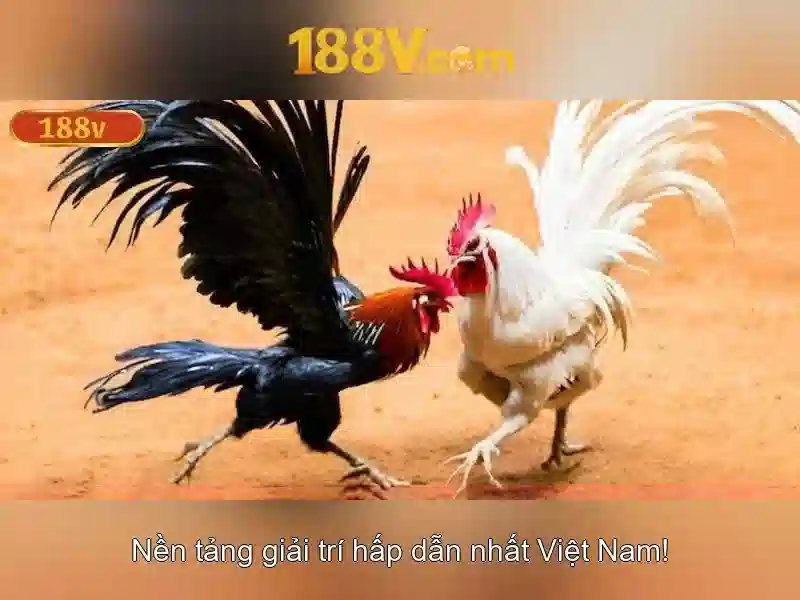 💎kucing hoki slot login💎 💎kucing hoki slot login💎