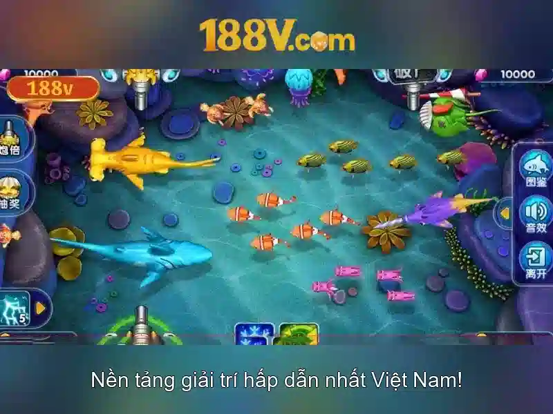 💎vụ đánh bạc ở nga sơn💎 💎vụ đánh bạc ở nga sơn💎
