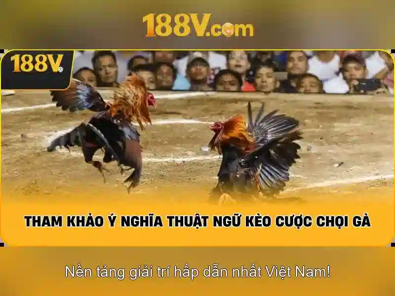 💎slots vichte💎 💎slots vichte💎