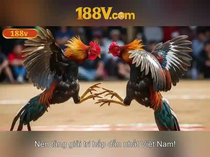 💎888slot slot cartoon💎 💎888slot slot cartoon💎