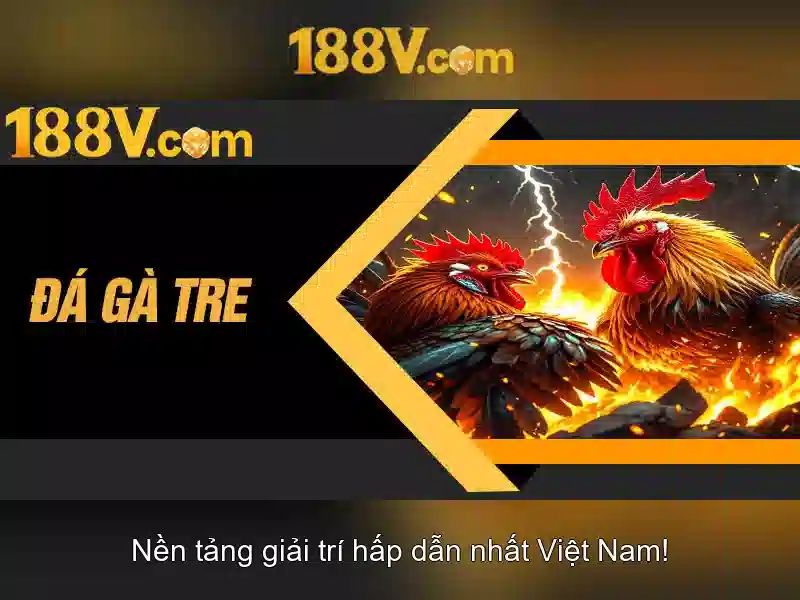 💎tội to chức đánh bạc khoản 2💎 💎tội to chức đánh bạc khoản 2💎
