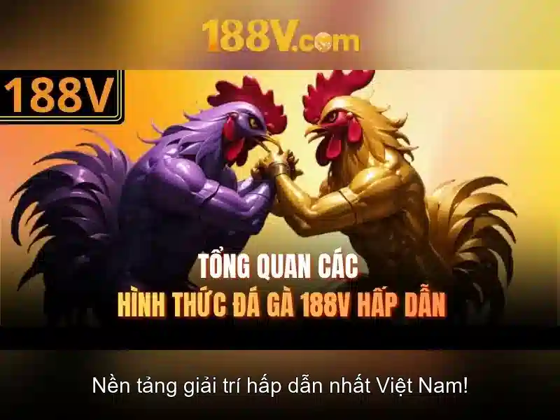 💎stero slots ro💎 💎stero slots ro💎