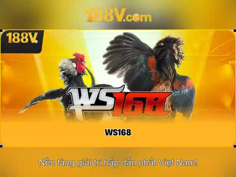 💎chin chin casino online slots💎 💎chin chin casino online slots💎