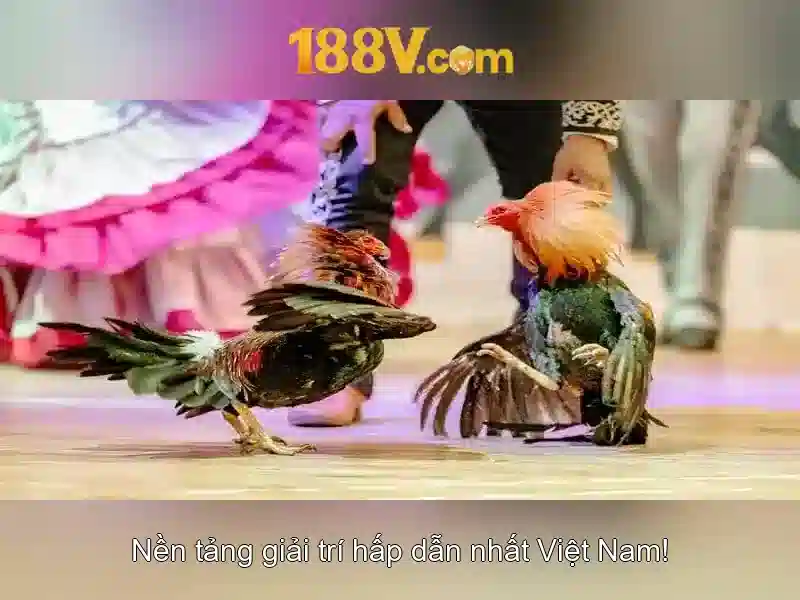 💎77 vip slot login💎 💎77 vip slot login💎