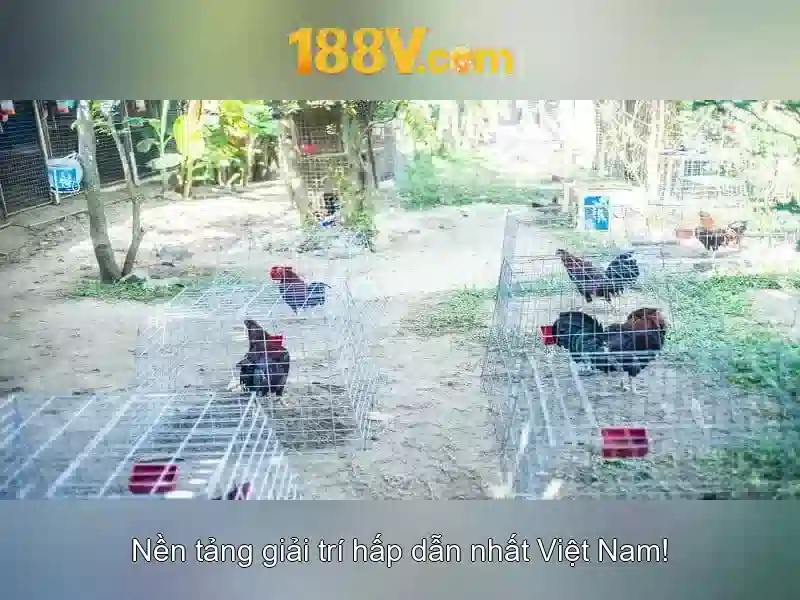 💎nhà cái fbet💎 💎nhà cái fbet💎