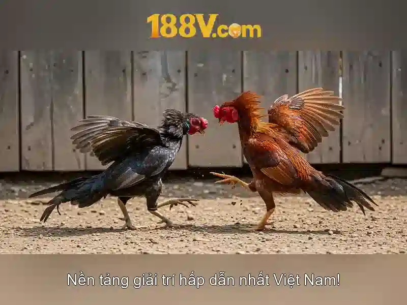 💎fortune gems hb88 demo💎 💎fortune gems hb88 demo💎