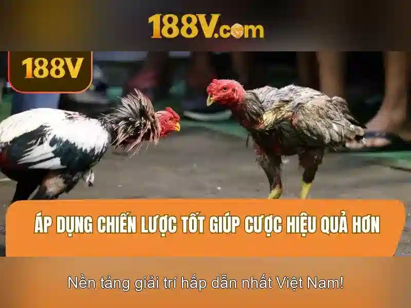 💎ibcbet slot login💎 💎ibcbet slot login💎