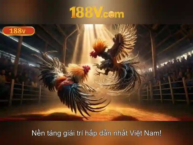💎hôm nay đánh đề số mấy miền bắc💎 💎hôm nay đánh đề số mấy miền bắc💎