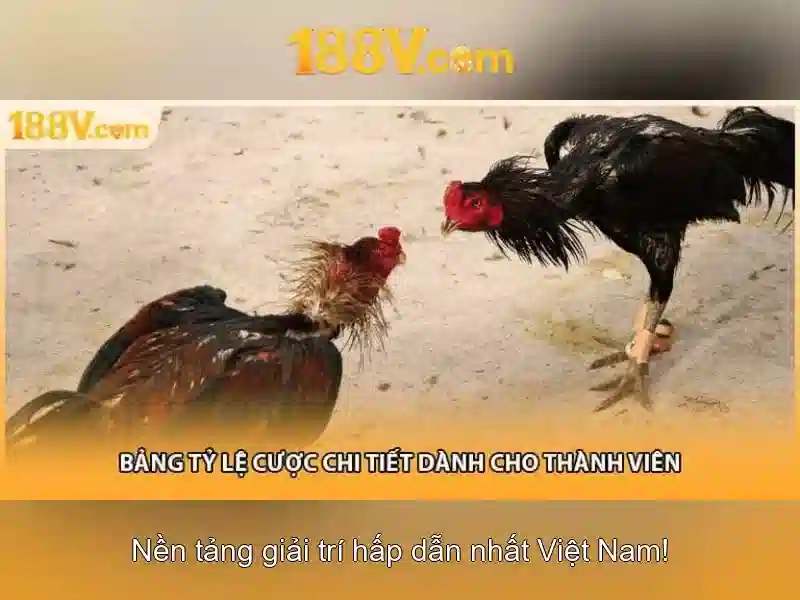 💎aladdin slot machine for sale💎 💎aladdin slot machine for sale💎