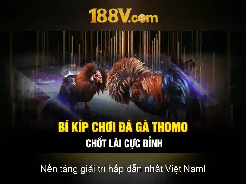 💎nóc nhà đông dương (lào cai) có độ cao💎 💎nóc nhà đông dương (lào cai) có độ cao💎