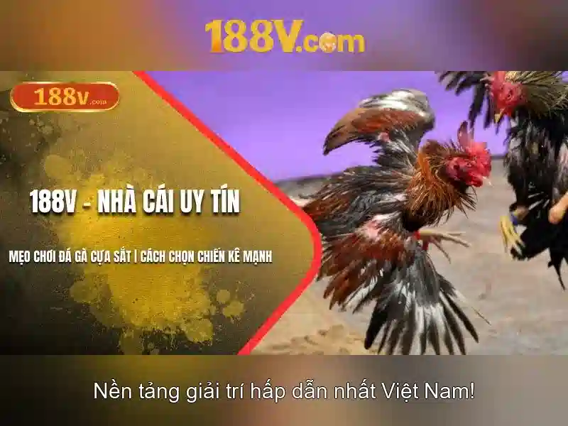 💎bài đánh giá về nhà công tử bạc liêu💎 💎bài đánh giá về nhà công tử bạc liêu💎