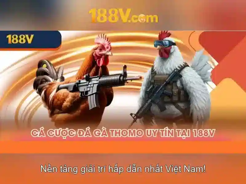 💎dm slot💎 💎dm slot💎